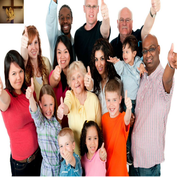 24Descendants Collage