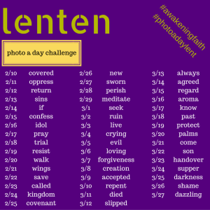 Photo a day Lent 2016