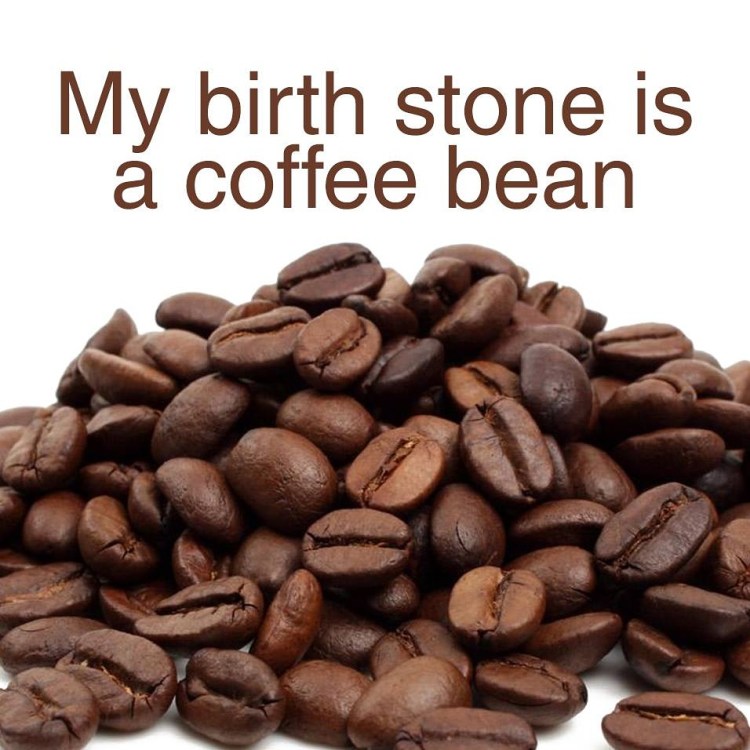 wp-1457447438327 image