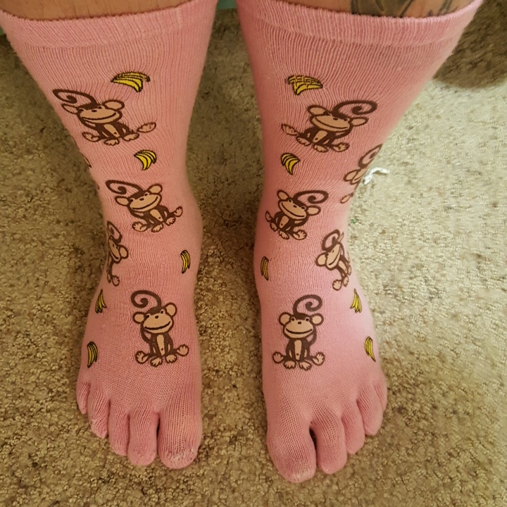 wp-1458573424550 image