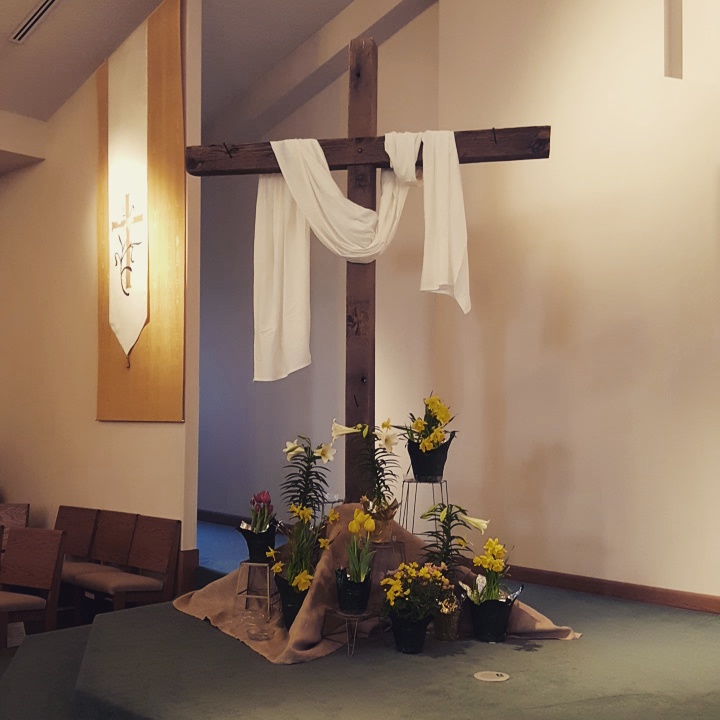 wp-1459096498346 image